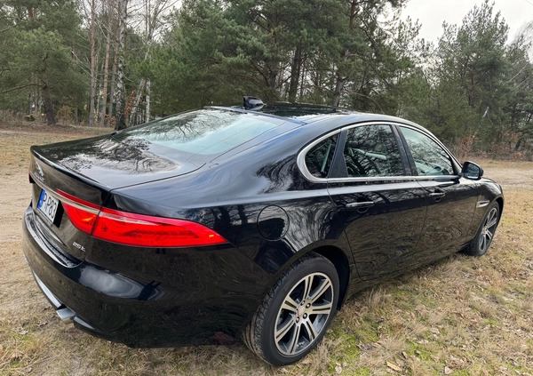 Jaguar XF cena 86900 przebieg: 112243, rok produkcji 2018 z Piła małe 407